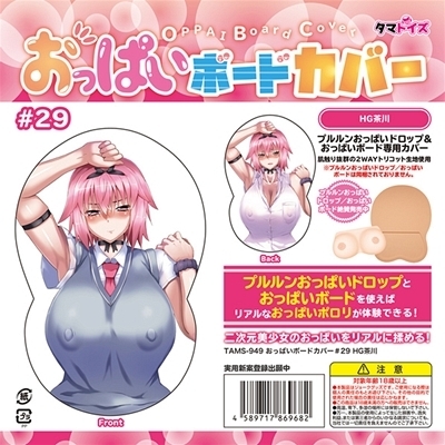 �����ς��{�[�h�J�o�[�@�Q�X�@�i�C���X�g�F�g�f����j